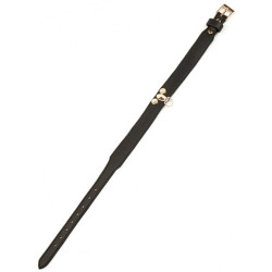 Generique Collier-Laisse Master Me Noir